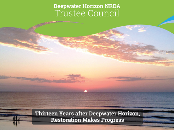 Thirteen Years After Deepwater Horizon, Restoration Makes Progress