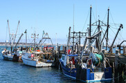 Fishing vessels tied to a pier on a sunny day