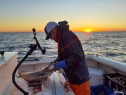 Man sampling a large fish on deck of a boat, sun on the horizon in the background