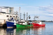 blue and green colored fishing boats at dock 