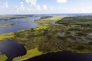 Aerial view of salt marsh habitat. Credit: Mark Bias