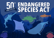 Endangered Species Act 50th anniversary identity marker. Credit: NOAA