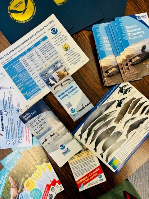 Brochures on table