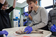 several very happy youngsters wearing purple rubber gloves prepare to dissect a fish 