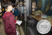image of a our aquarium visitor with a "best of" silver medal overlaid on the image