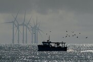 a fishing vessel transits a silvery ocean with offshore wind turbines in the distance behind it