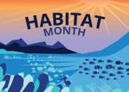 Habitat Month colorful artwork