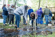Two women lean over a yardstick in a stream as other people look on. Credit: Virginia Commonwealth University