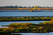 Construction equipment in the background of a large marsh. Credit: Eric Vichich/NOAA