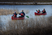 Four people in two red canoes paddle through a wetland. Credit: Metroparks Toledo