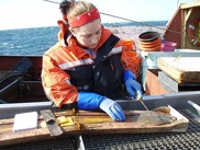 woman cutting fish on the deck of a fishing vessel