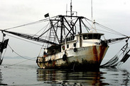 IUU fishing vessels 