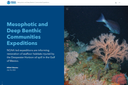 A screenshot of the NOAA mesophotic and deep benthic communities restoration StoryMap. Credit: NOAA Fisheries