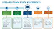 infographic of stock assessment steps