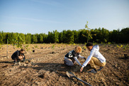 Students plant trees in Blackbird State Forest in Delaware. Credit: Will Parson/Chesapeake Bay Program. 
