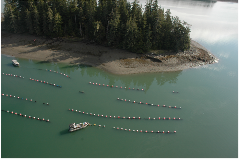 prince-william-farm-sound