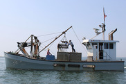 oyster fishing vessel