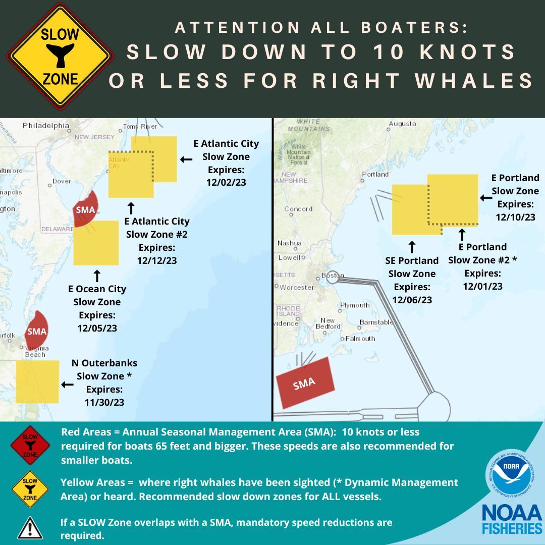 Slow zones for the North Atlantic right whale in the northeast.