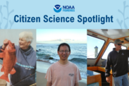 Text reading "citizen science spotlight" above three photos of scientists in the field