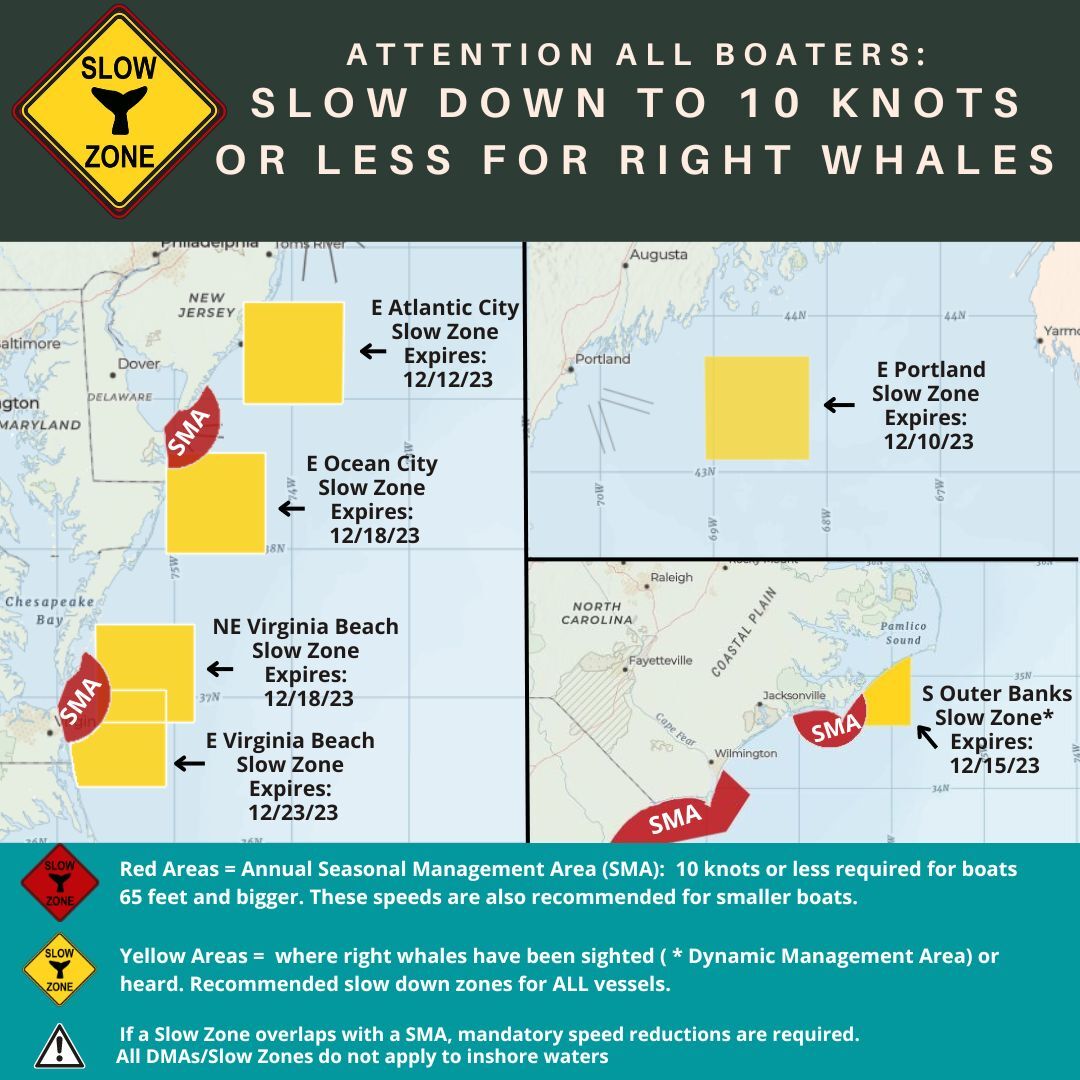Map of current right whale slow zones. 