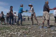 Volunteers pass rocks along an assembly line to build a clam garden in Skagit Bay, Washington. Credit: NOAA Fisheries