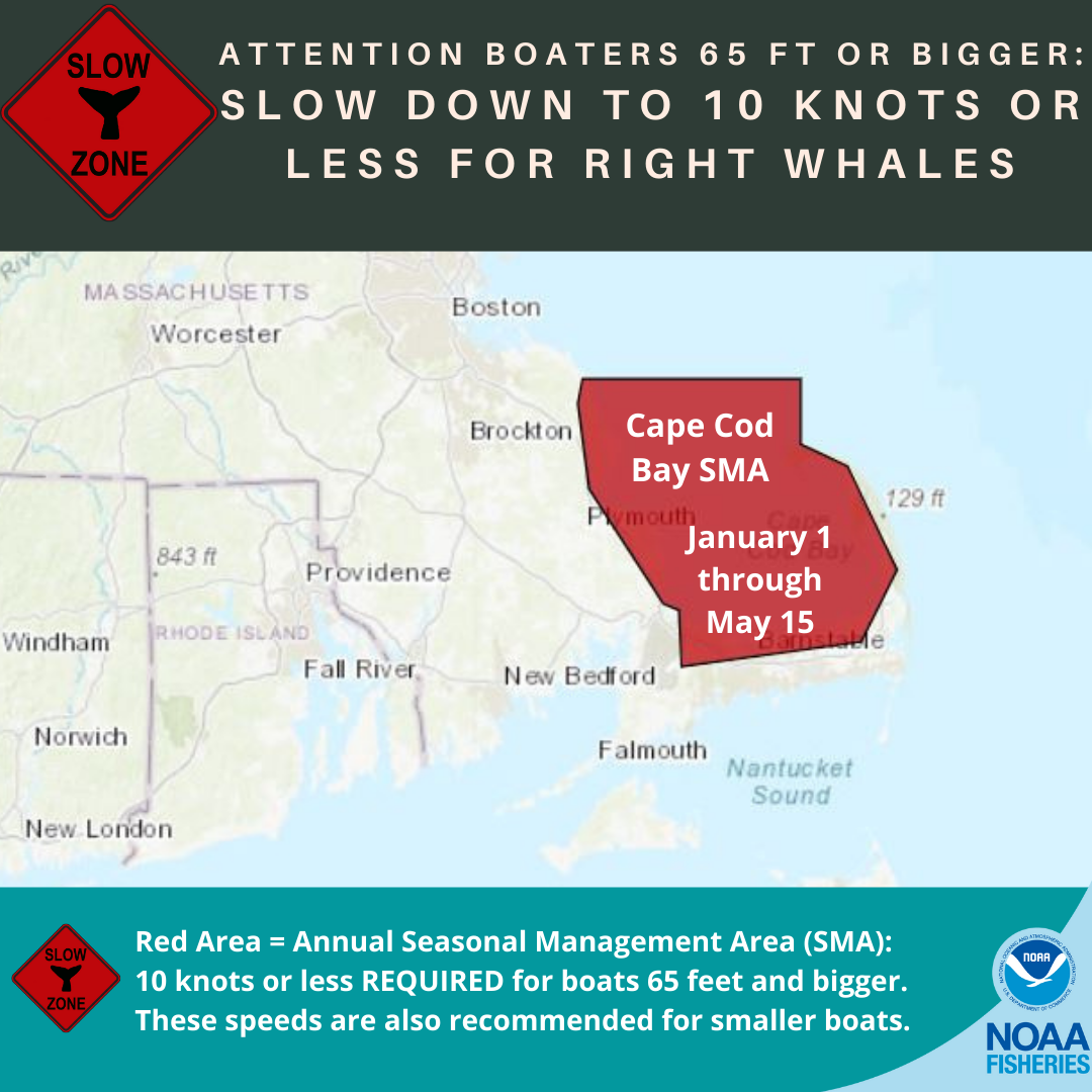 Seasonal management area for Cape Cod.