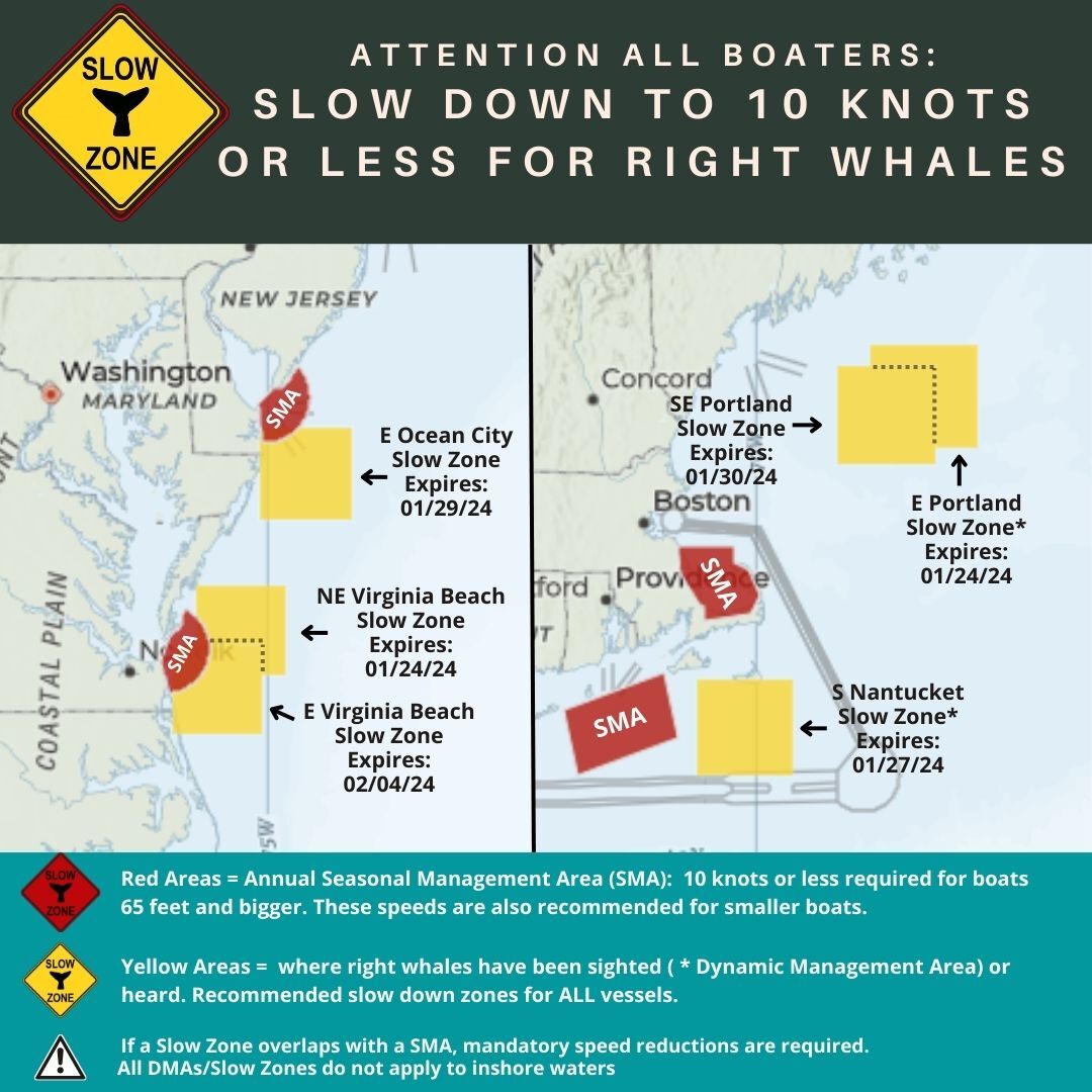 Map of current right whale slow zones in the northeast.