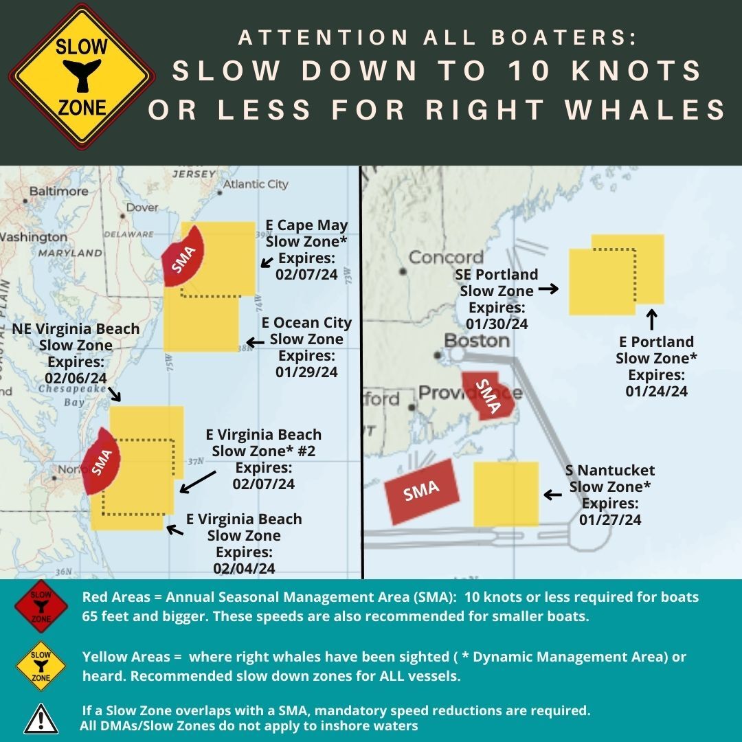 Map of current right whale slow zones.