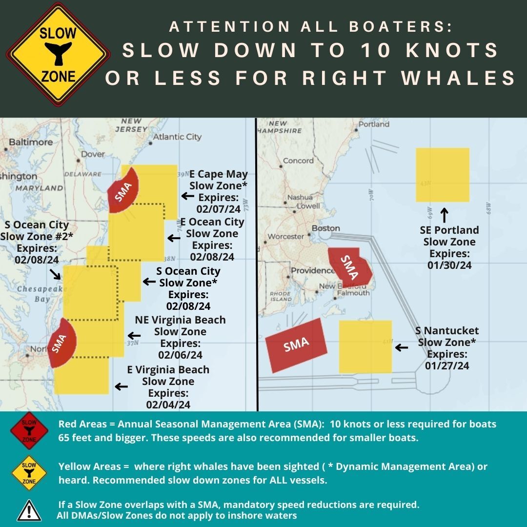 Two New Right Whale Slow Zones and Extension: South of Ocean City, MD ...