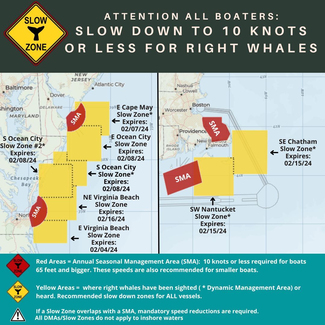 Map of current right whale slow zones.