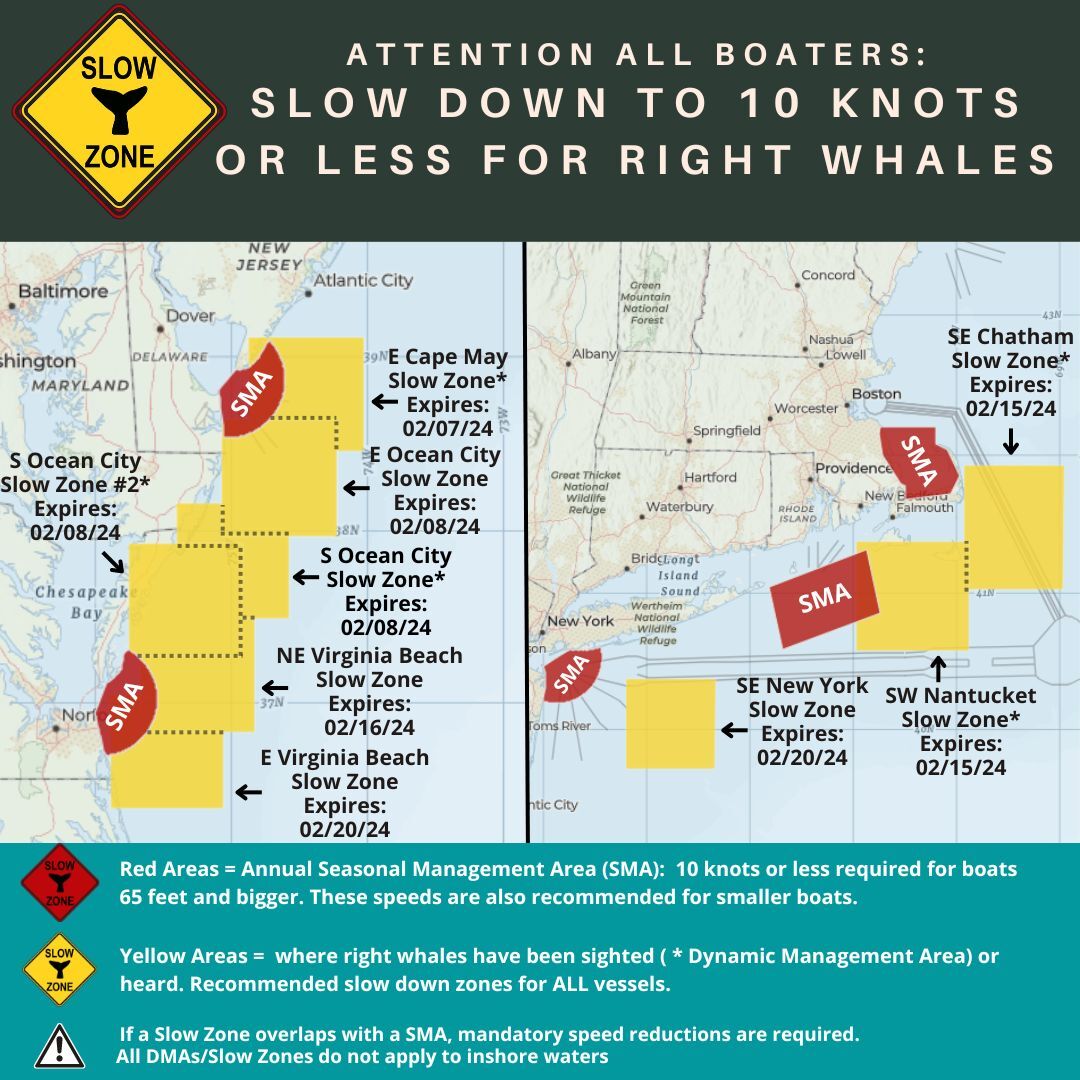 Map of current right whale slow zones.
