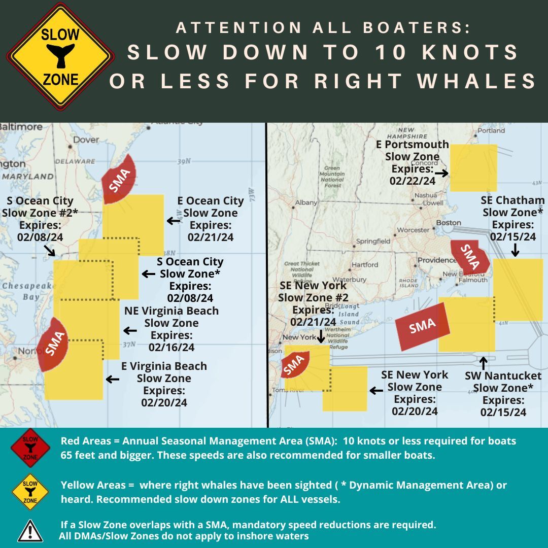 Map of current right whale slow zones.