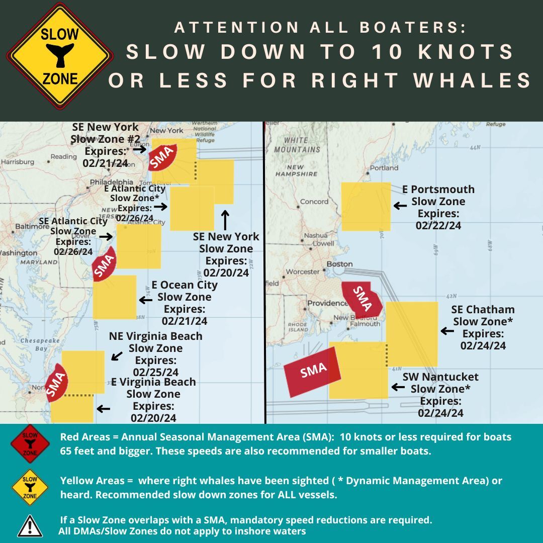 Map of current right whale slow zones. 