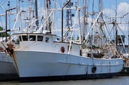 Image of a shrimp boat. Photo provided by Meaghan Emory.