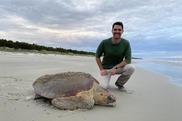 Joe Pfaller and loggerhead turtle on a nesting beach, permitted activities with Caretta Research Project. Photo provided by Joe Pfaller.