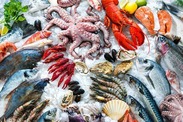 An array of seafood (courtesy of shutterstock)