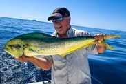 Dolphinfish, or mahi mahi, is a colorful, highly migratory species that is popular for recreational fishing. Photo courtesy of Bob Franks.