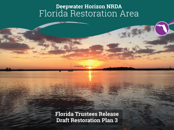 2024-fl-draft rp3