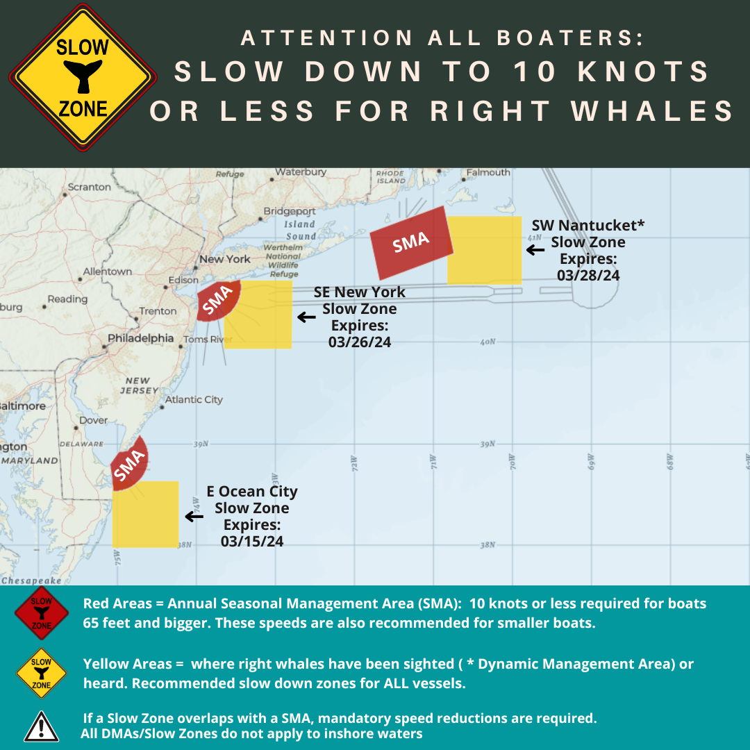 Map of current right whale slow zones in the northeast.