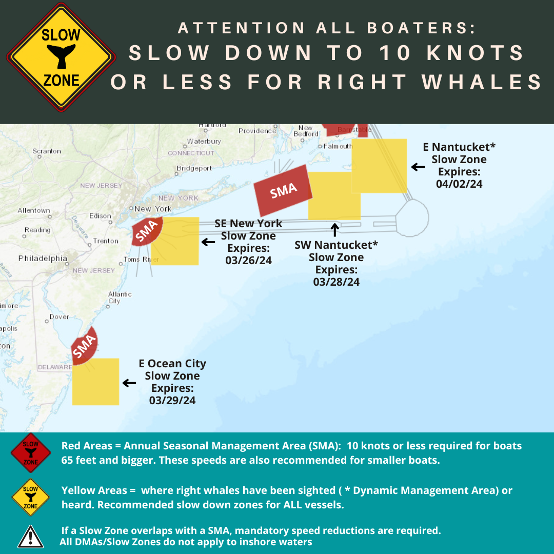 Map of current right whale slow zones in the northeast.