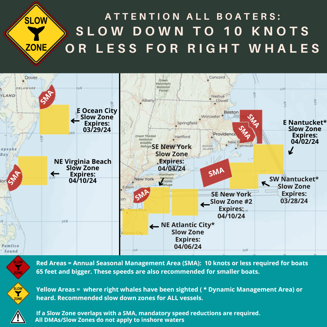 Two New Right Whale Slow Zones: NE Virginia Beach, VA and SE New York ...