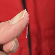 tin transparent worm hanging from a person's thumb