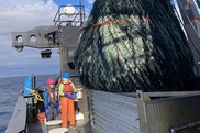 full trawl net being lowered onto the ship's deck