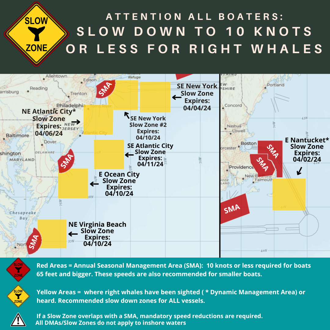 Map of current right whale slow zones in the northeast.