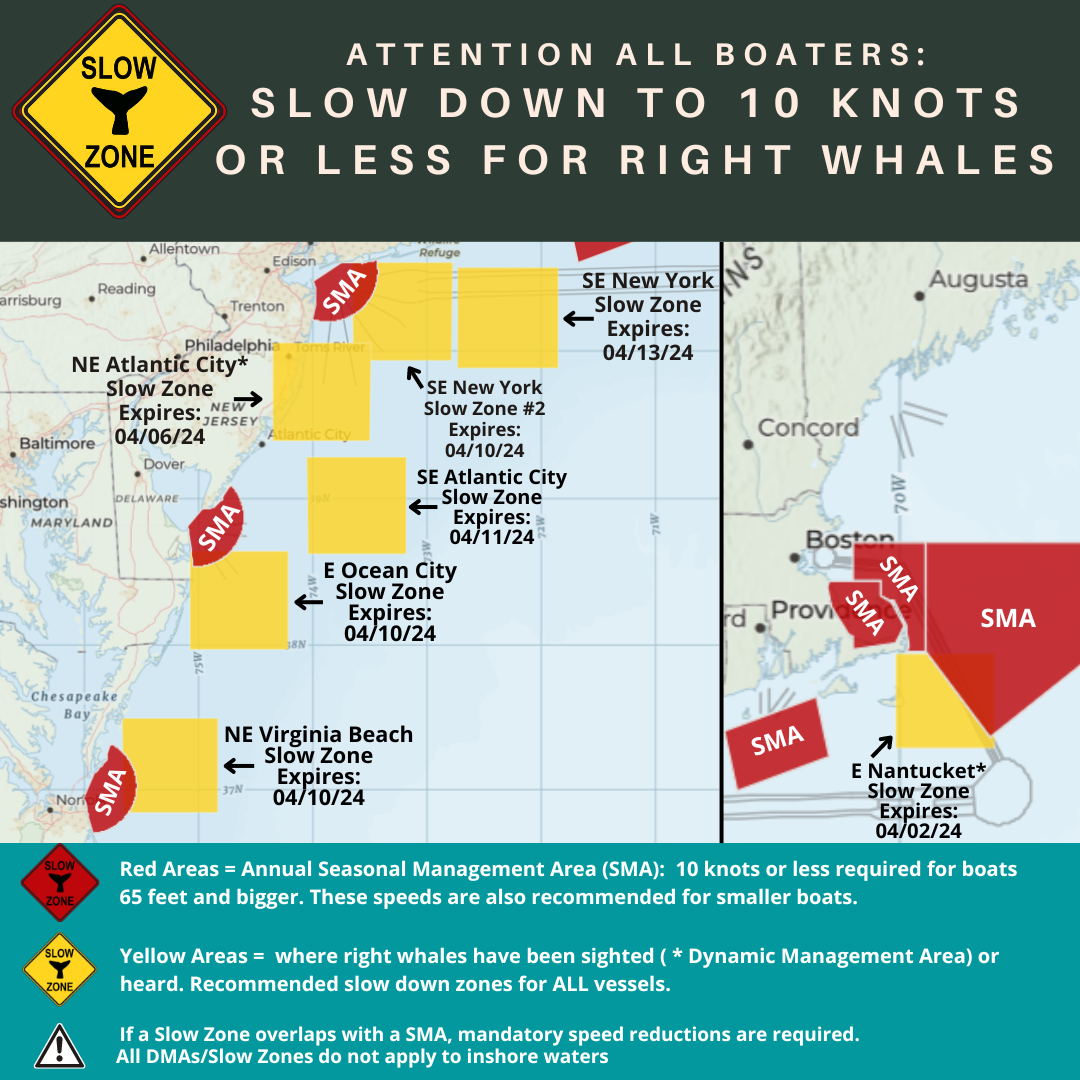 Map of current right whale slow zones in the northeast.