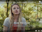 A woman speaks near a forest in this video clip from a video about NOAA-supported environmental education efforts. 