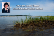 An inset of Dr. Nancy Foster on top of a picture of green marsh grasses with a sandy shore in the background.