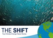 The Shift banner with fish and earth