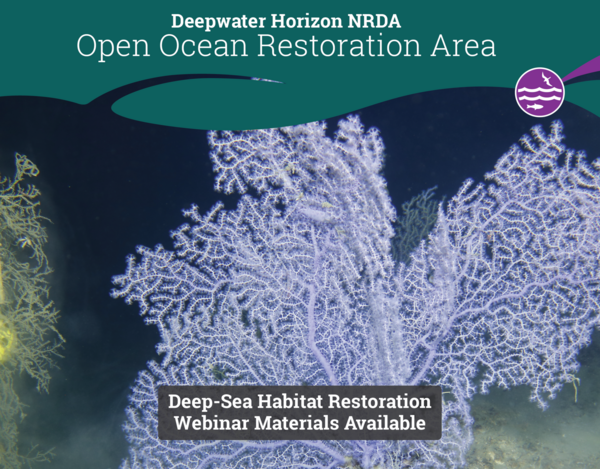 2024-04-oo-mdbc webinar materials available