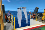 Two researchers stand on either side of bongo nets during a gear trial aboard a survey ship on the ocean